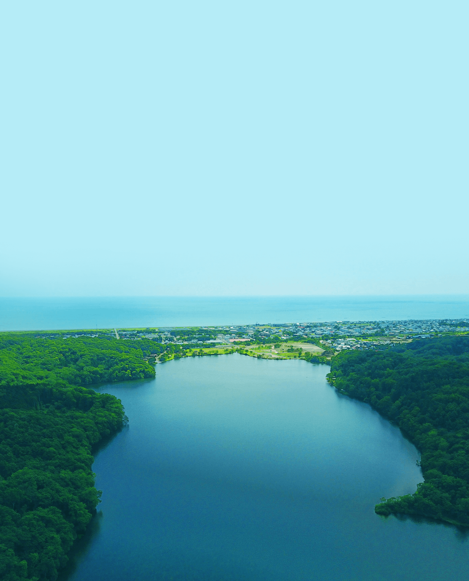 白老町ふるさと納税