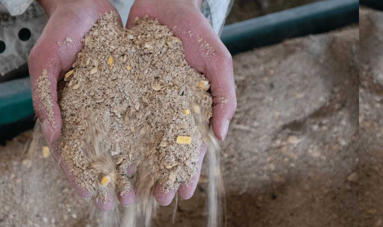餌へのこだわり