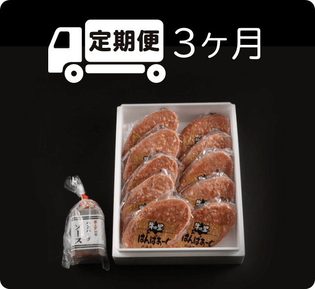 定期便 3ヶ月ビーフハンバーグ8個特製ソース2本の詰合せ